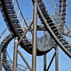 Tiger and Turtle