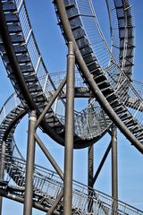 Tiger and Turtle