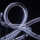 Tiger and Turtle