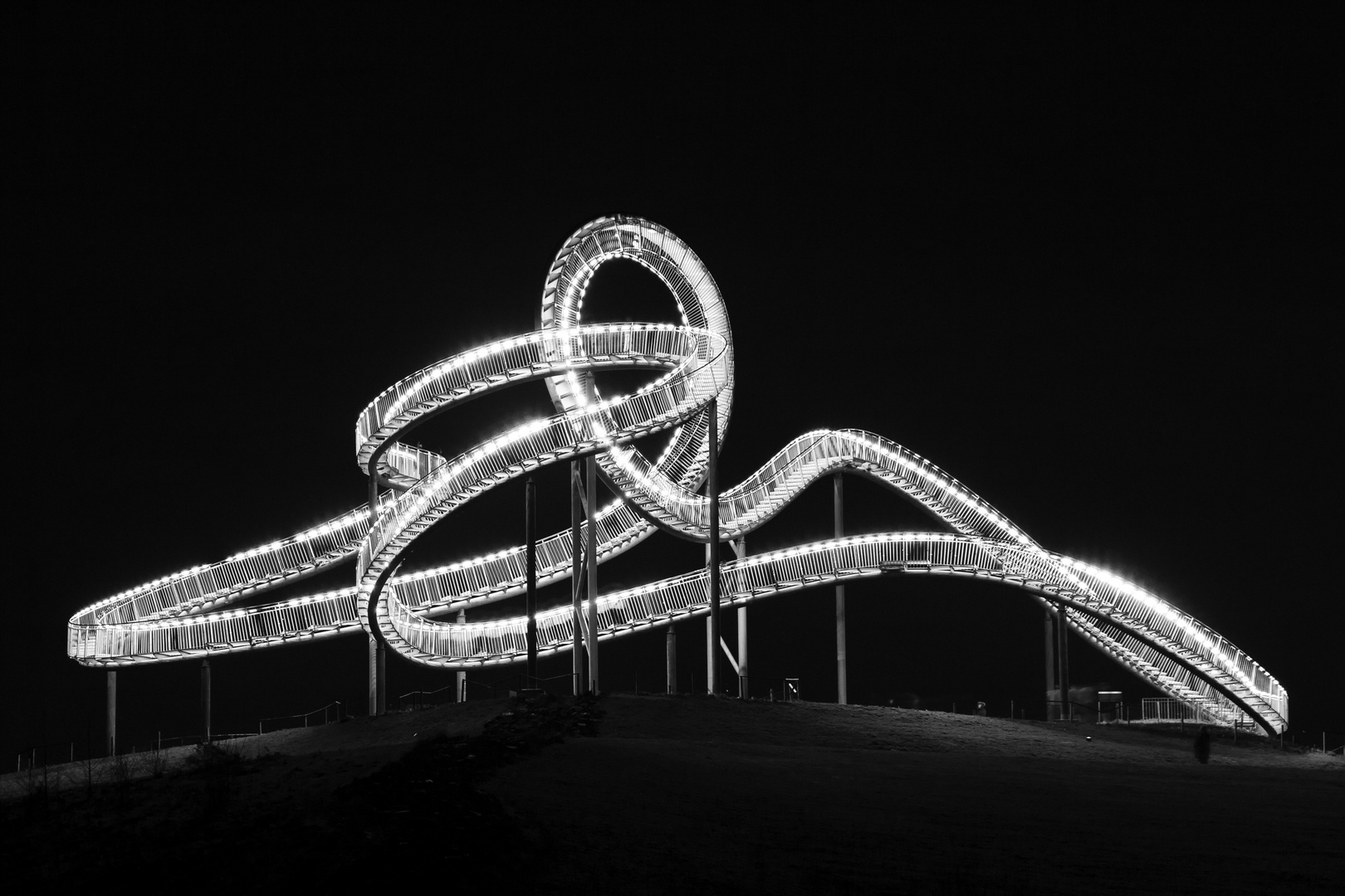 Tiger and Turtle