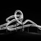 Tiger and Turtle