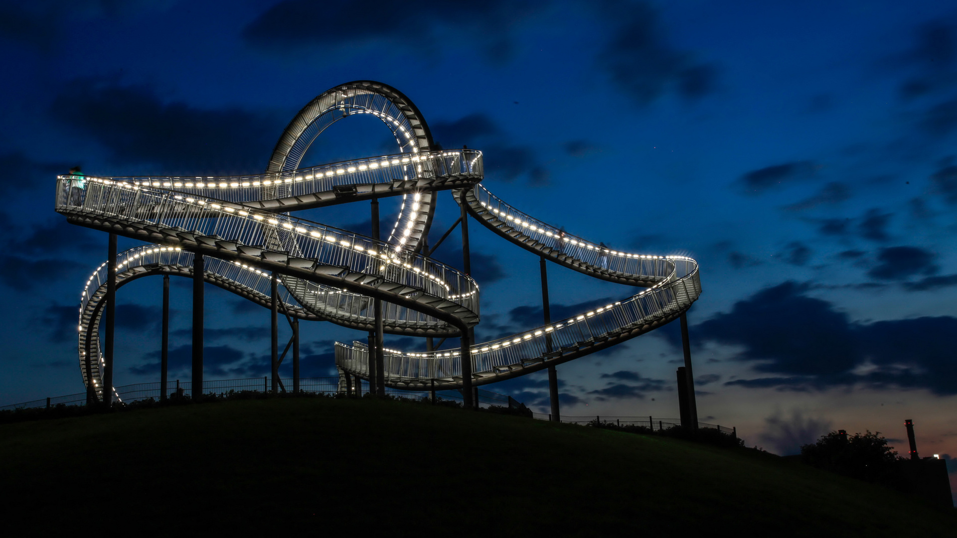 Tiger and Turtle