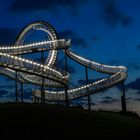 Tiger and Turtle