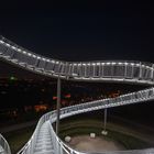 Tiger and Turtle (3)