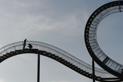 Tiger and Turtle (3)