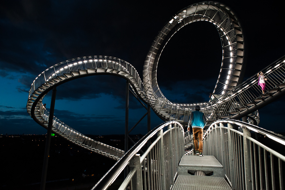 Tiger and Turtle - 3