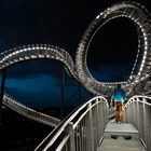 Tiger and Turtle - 3