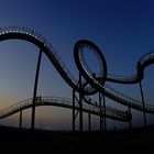 Tiger and Turtle 3