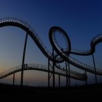 Tiger and Turtle 3