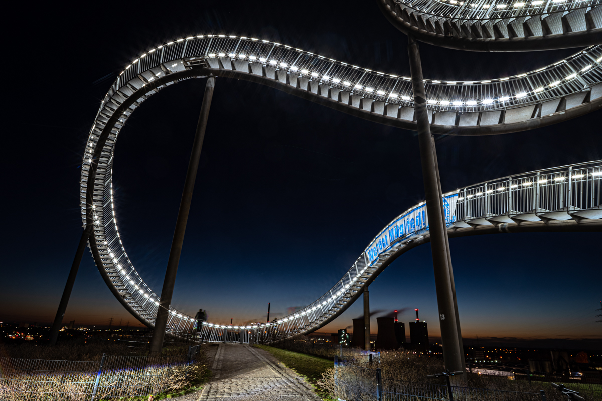 Tiger and Turtle 3