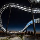 Tiger and Turtle 3