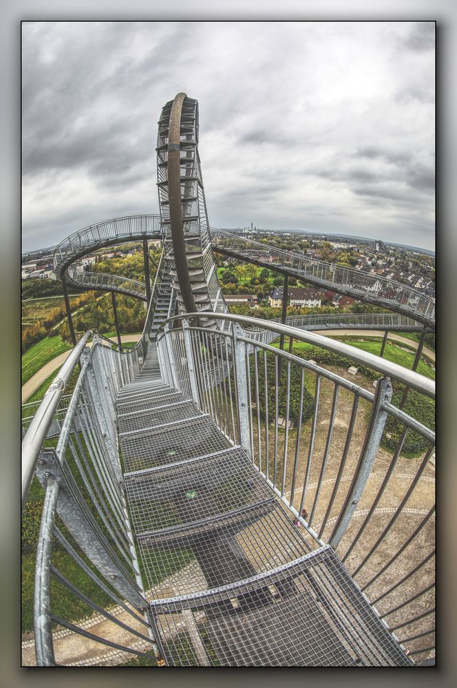 Tiger and Turtle 3