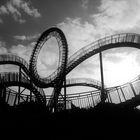 Tiger and Turtle 3