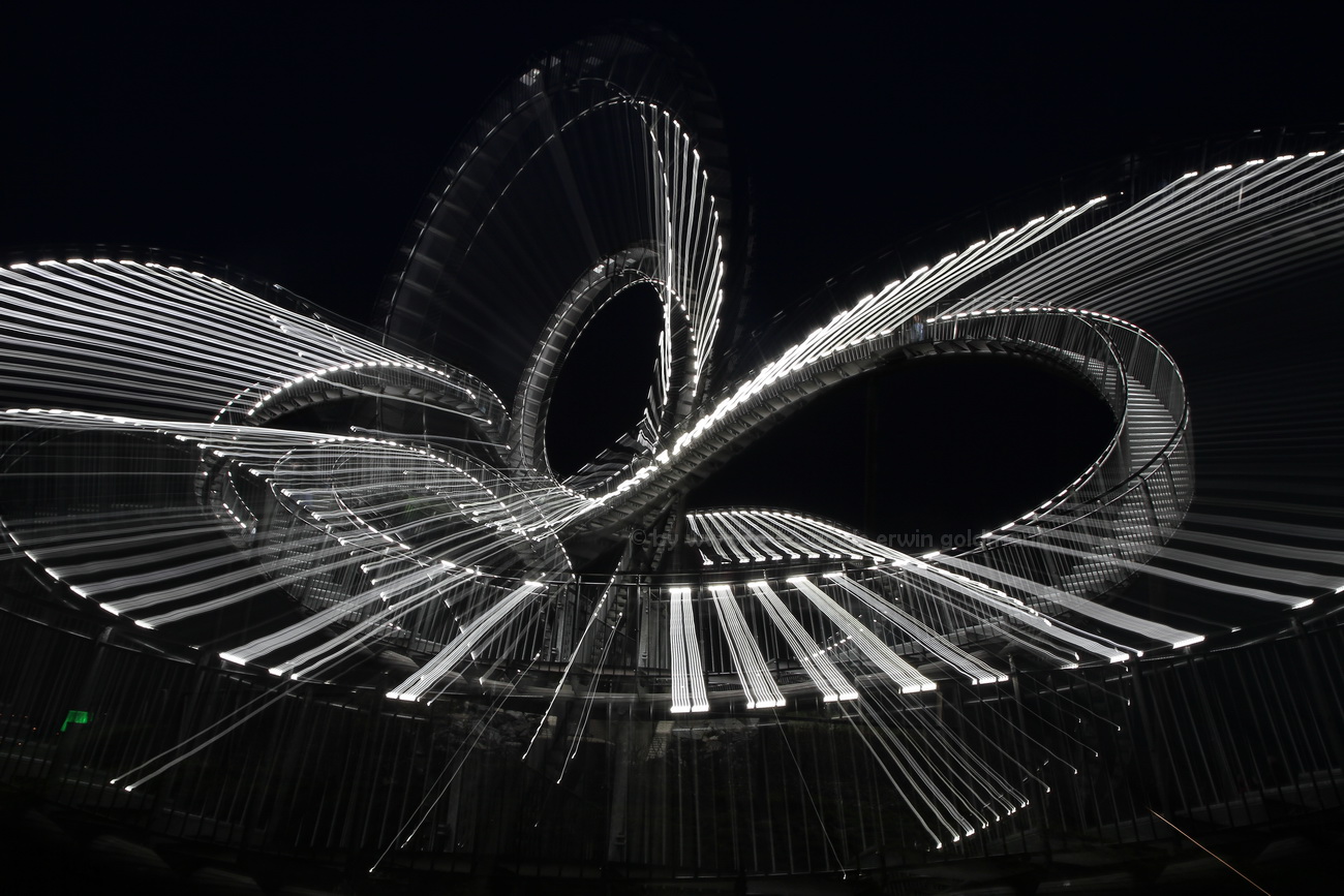 Tiger and Turtle 3