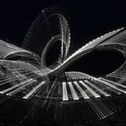 Tiger and Turtle 3