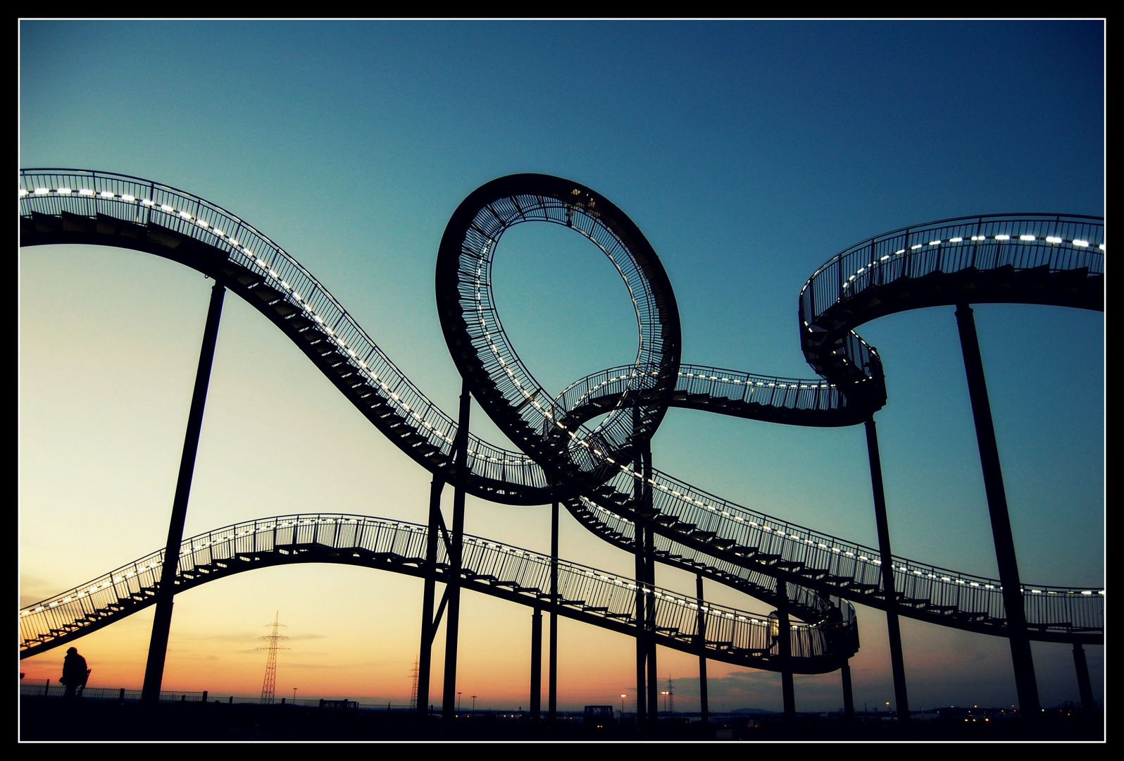 Tiger and Turtle