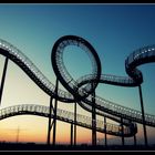 Tiger and Turtle