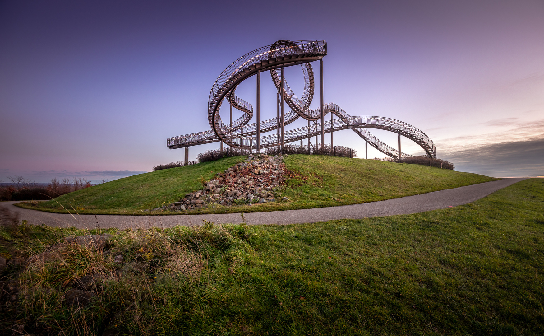 Tiger and Turtle