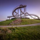 Tiger and Turtle