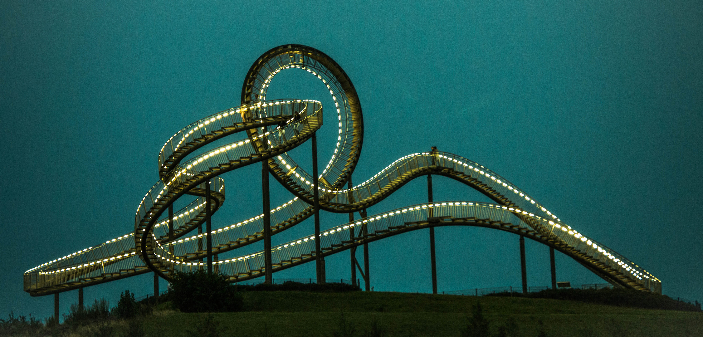 Tiger and Turtle