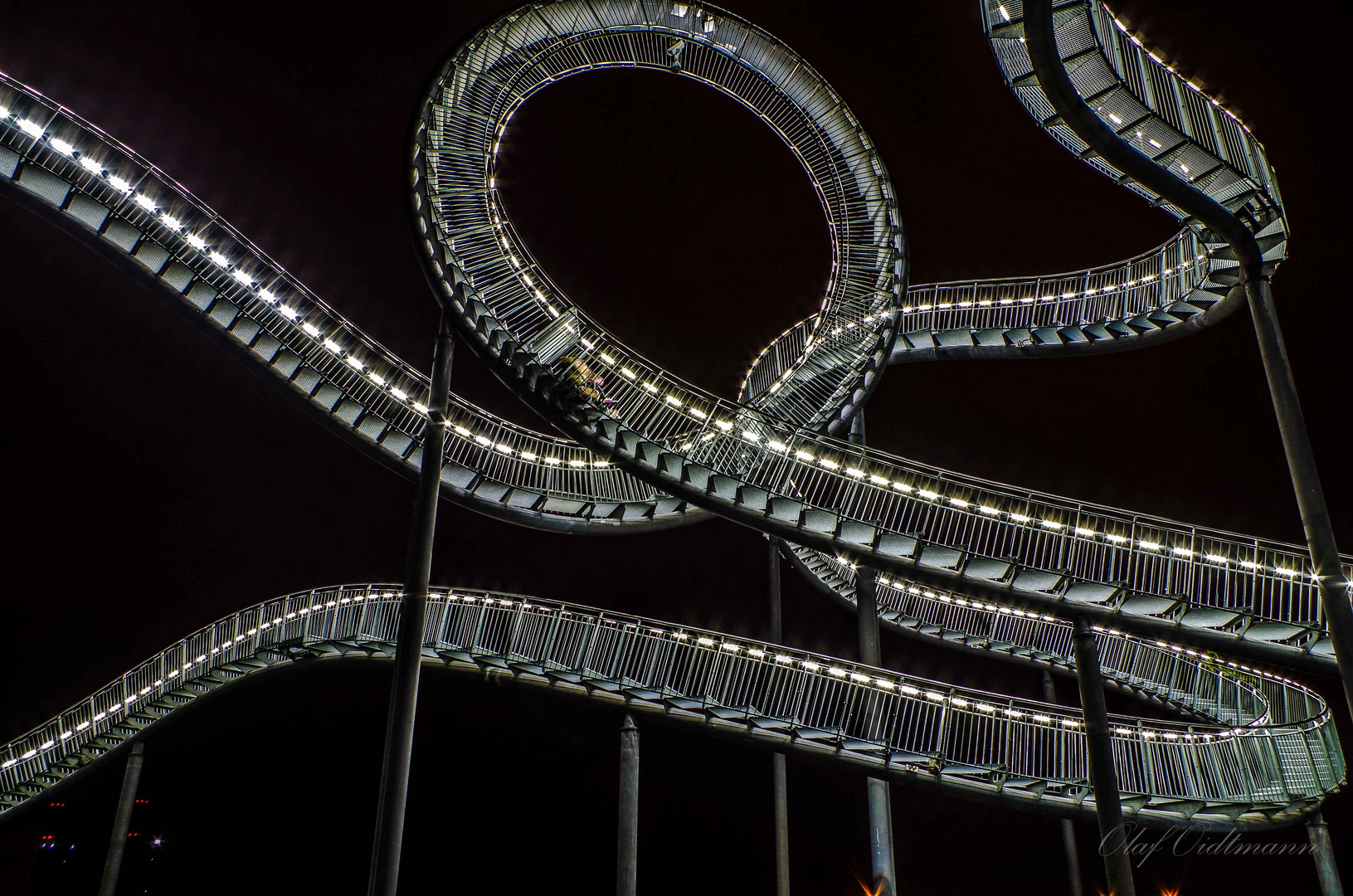 Tiger and Turtle