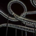 Tiger and Turtle