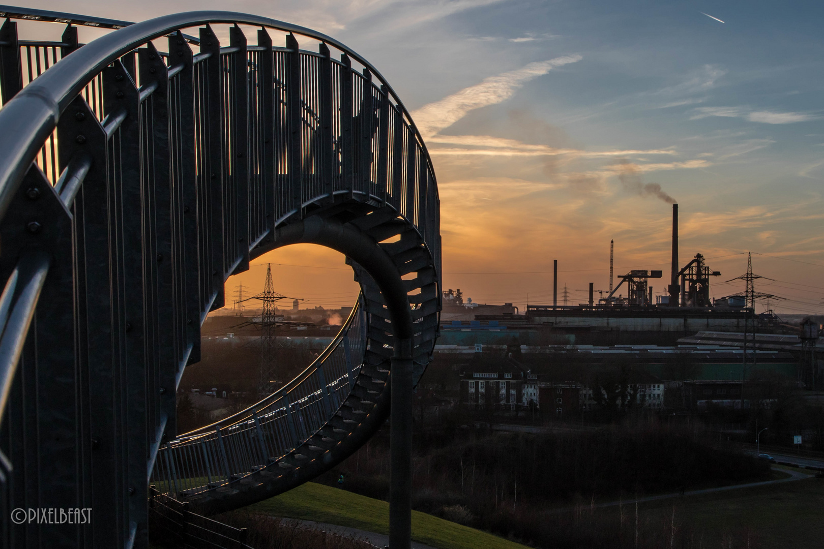 Tiger and Turtle