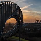 Tiger and Turtle