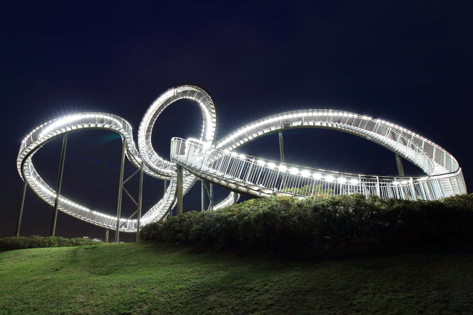 Tiger and Turtle