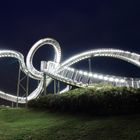 Tiger and Turtle