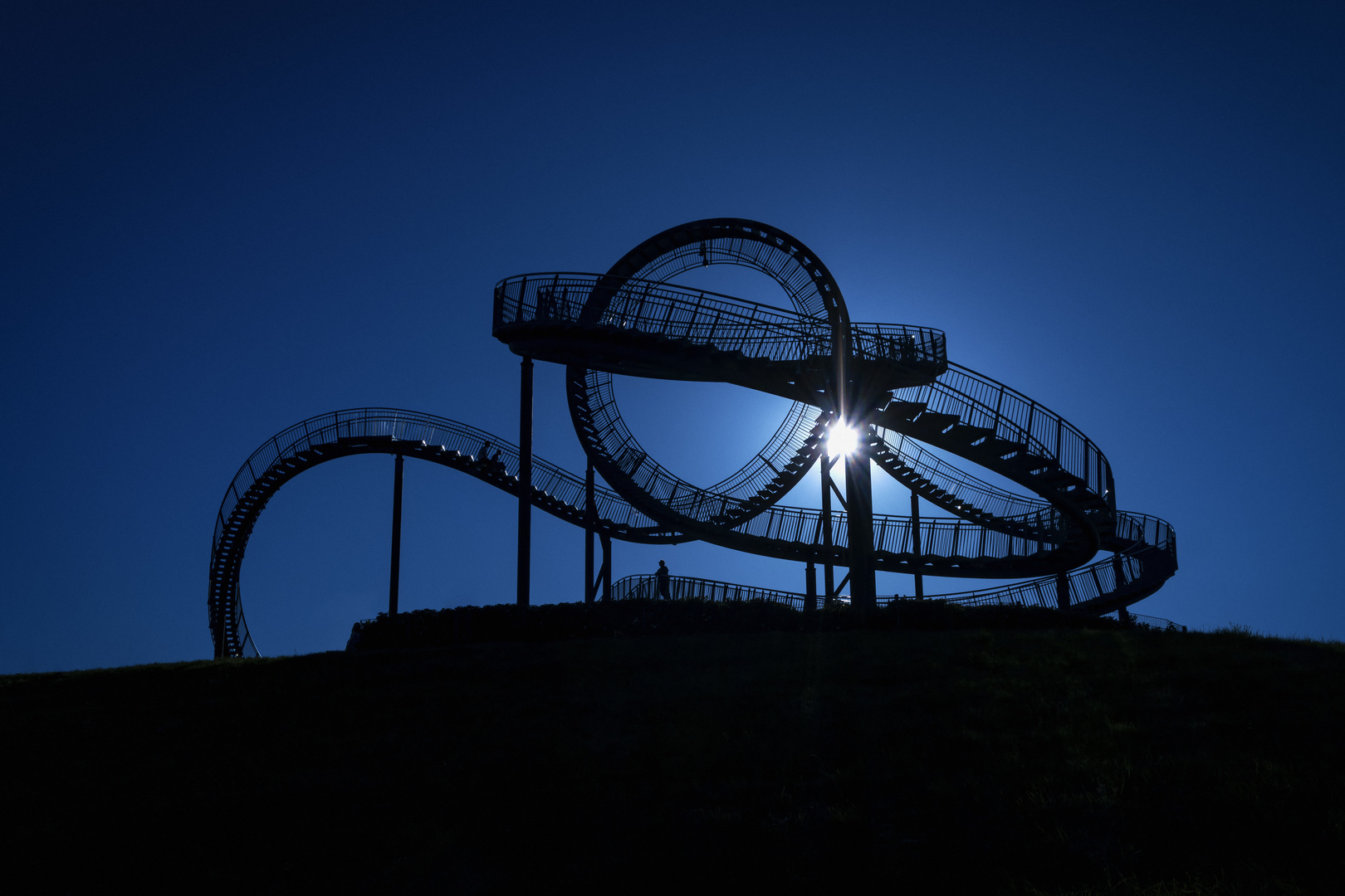 Tiger and Turtle