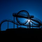 Tiger and Turtle