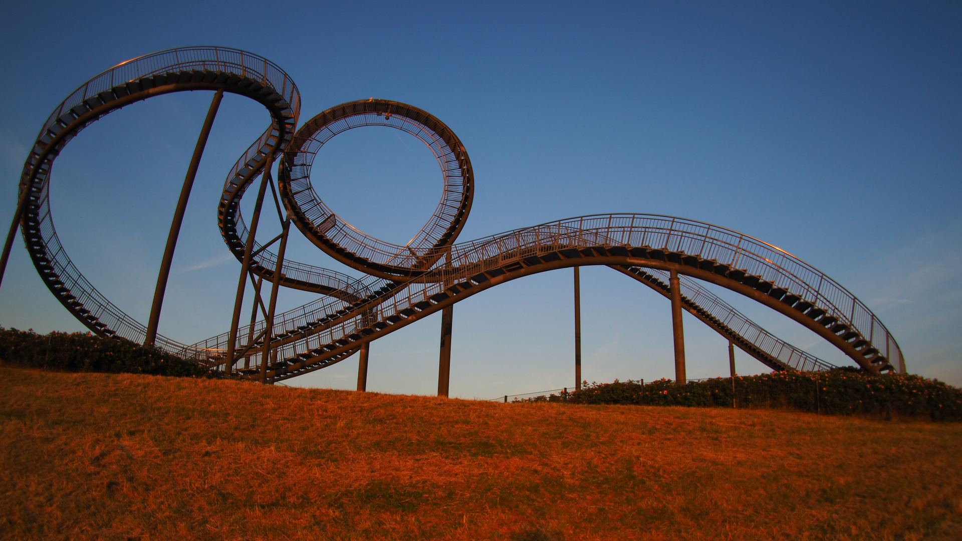 Tiger and Turtle