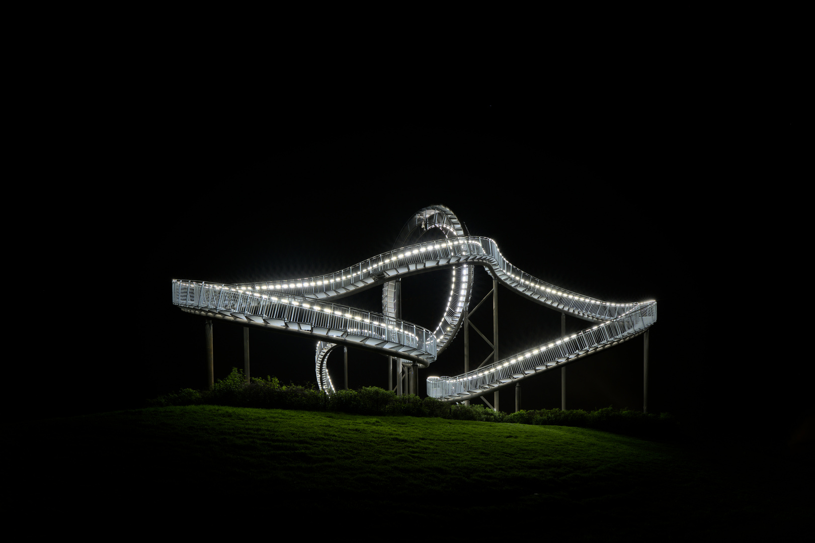 Tiger and Turtle