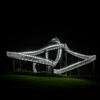 Tiger and Turtle