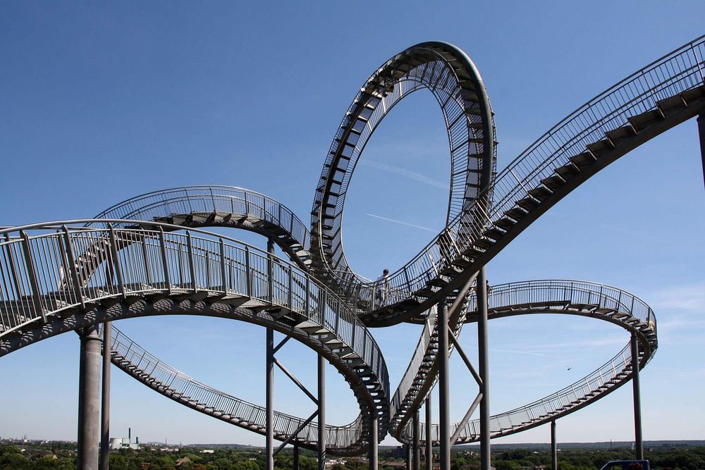 Tiger and Turtle