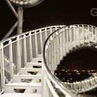 Tiger and Turtle