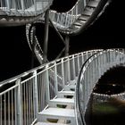 TIGER and TURTLE