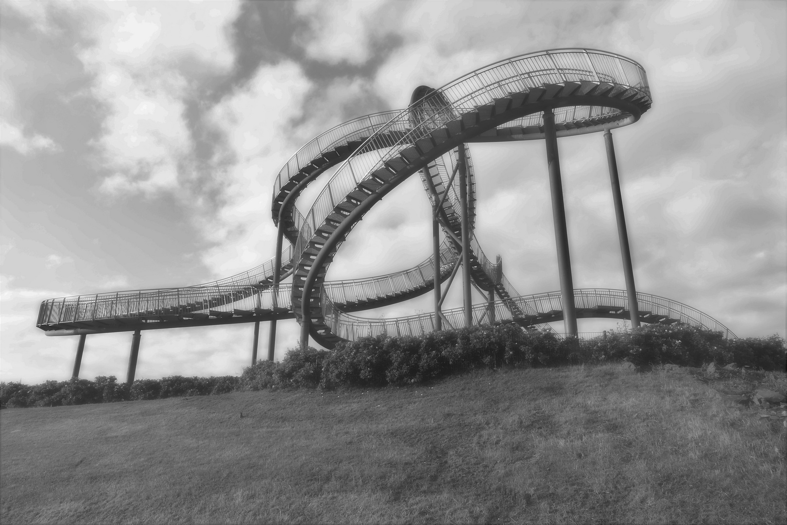 Tiger and Turtle 4