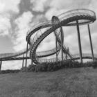 Tiger and Turtle 4