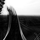 Tiger and Turtle 4