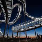 Tiger and Turtle 4