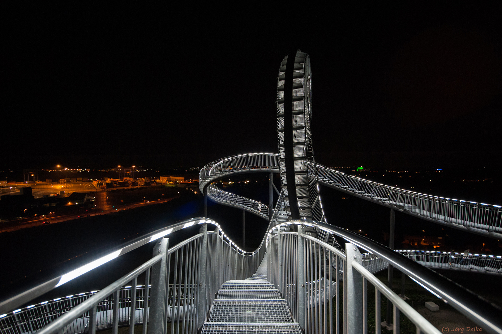 Tiger and Turtle (4)