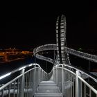 Tiger and Turtle (4)