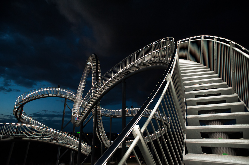 Tiger and Turtle - 4