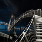 Tiger and Turtle - 4