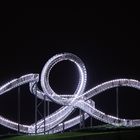 Tiger and Turtle