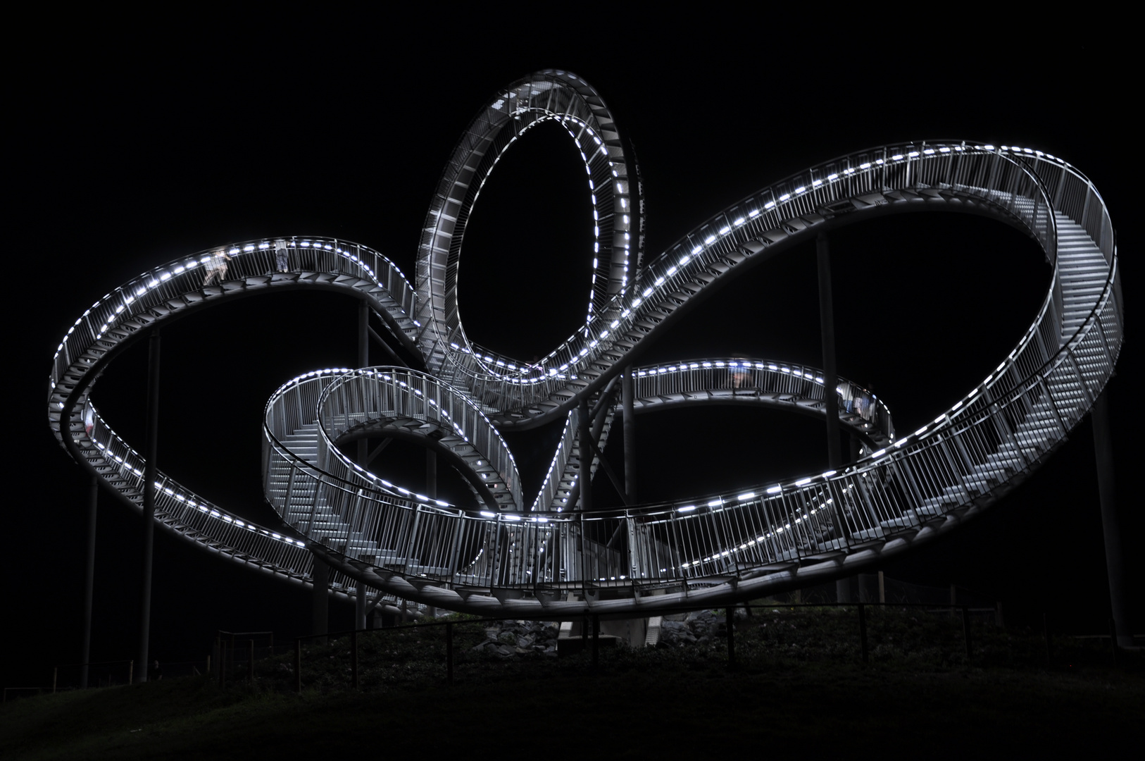 Tiger and Turtle