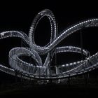 Tiger and Turtle