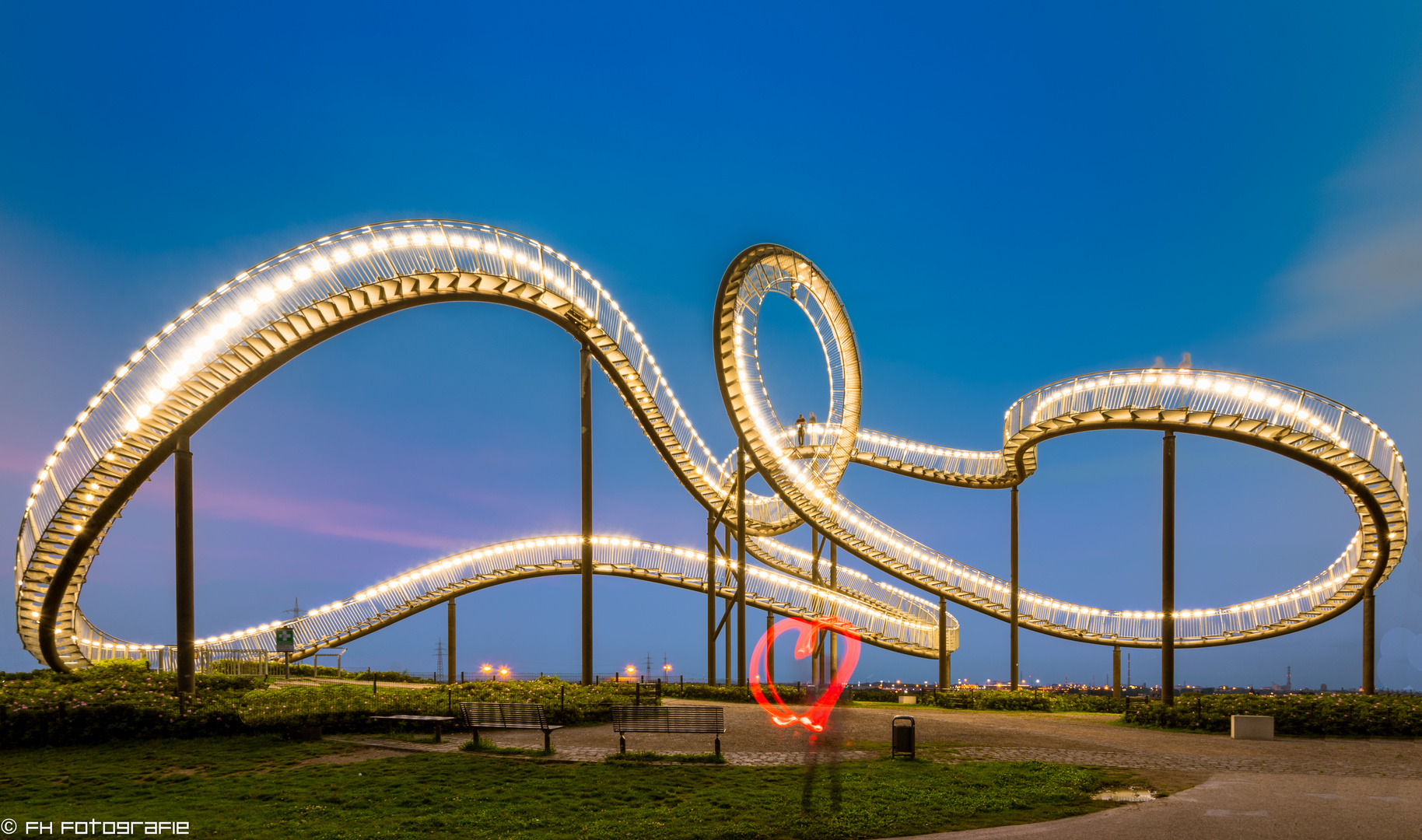 Tiger and Turtle